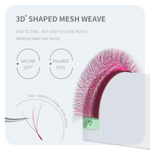 3D W-Shape Dual Core Premade Fan Eyelash Extensions 0.07D