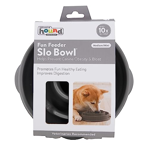 Outward Hound Fun Feeder Slo Bowl, Slow Feeder Dog Bowl, Medium, Grey