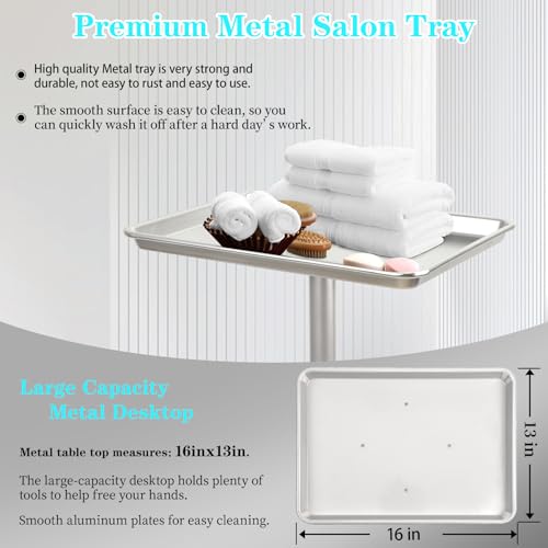 Adjustable Salon Tray on Wheels with Removable Top