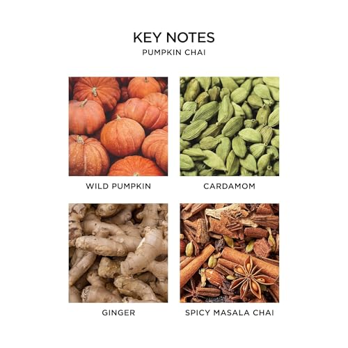 NEST New York Liquid Soap, Pumpkin Chai - 10 fl oz - Cleanses & Nourishes Skin - Approx. 300 Pumps Per Bottle - Gluten Free & Cruelty Free (Pack of 2)