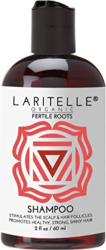 Laritelle Organic Travel Size Shampoo 2 oz | Fortifying, Strengthening & Rejuvenating | Stops Hair Shedding, Promotes New Hair Growth | Ayurvedic Herbs, Lavender, Ginger, Rosemary, Patchouli & Cloves