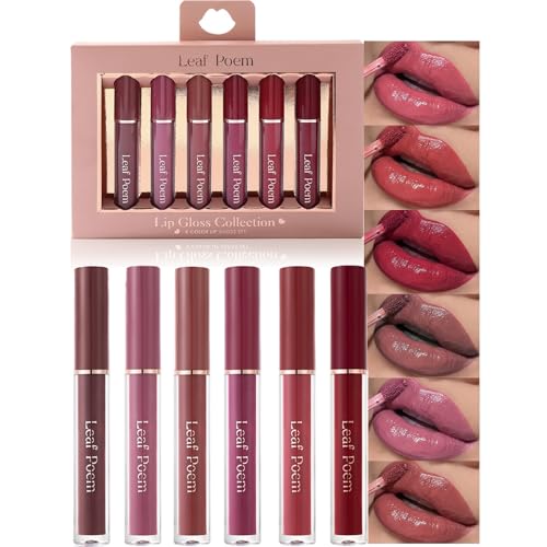 MooGlamor Lip Gloss Set - 6 Non-Sticky Shades with Soft Brush