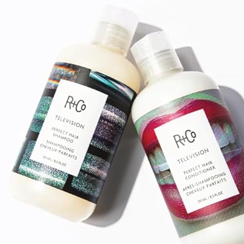 R+Co Television Perfect Shampoo + Conditioner Travel Set | Smooths, Adds Shine & Volume | Vegan & Cruelty-Free | TSA Approved | 2oz (Pack of 2)