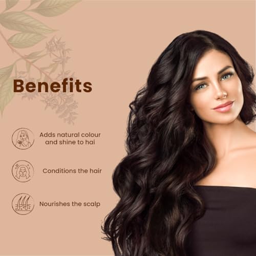Just Jaivik Organic Henna Powder for Hair – 227g