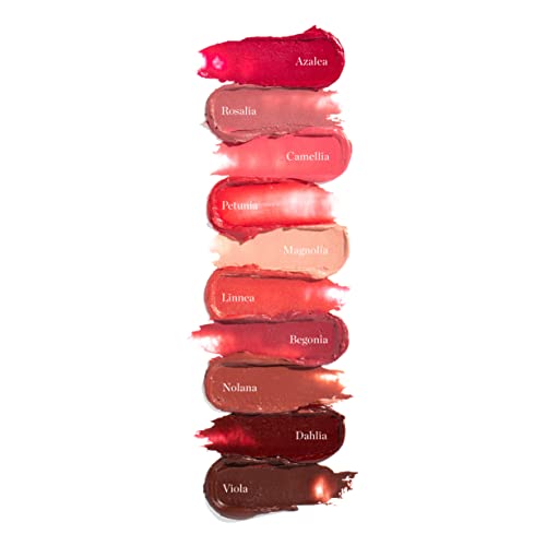 Ogee Ultimate Color Multi-Use Skin Stick Bundle