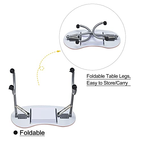 Portable Foldable Nail Desk with Lamp & Wrist Rest