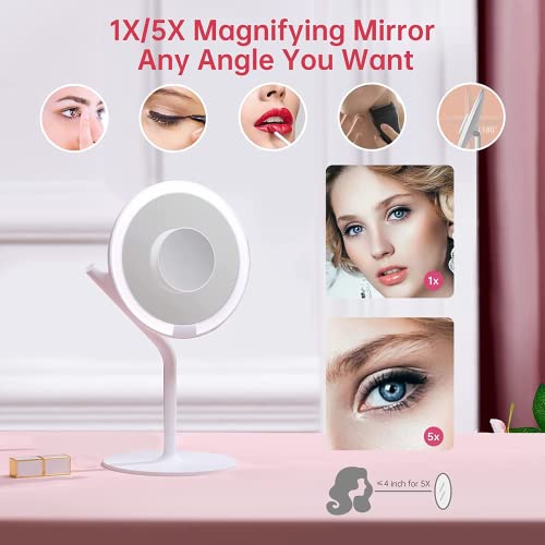 AMIRO 8'' LED Makeup Mirror, 5-Level Brightness/Touch Screen Control/Memory Function/180¡Æ Rotation/Detachable Small 5X Magnification Mirror