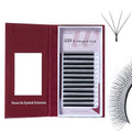 8D W Eyelash Extensions - Easy Fans Russian Volume Clusters