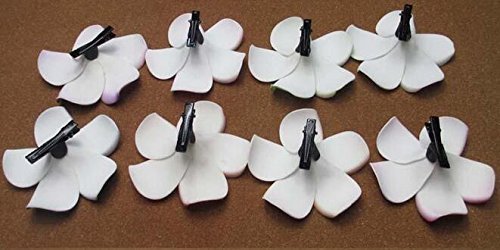 12PCS Women Girls 2.36" Hawaiian Hawaii Bohemia Style Plumeria Foam Flower Hair Clips Decoration Hair Barrette Hairpin For Bridal Wedding Party Beach Holiday (Pink)