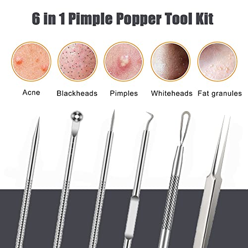 Blackhead Remover Tool Kit - 6 Pcs Acne & Blemish Extraction Set - Silver