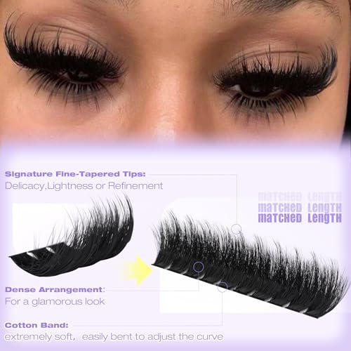 Fluffy Lash Clusters with Spikes 12-20MM D Curl Eyelash Extensions