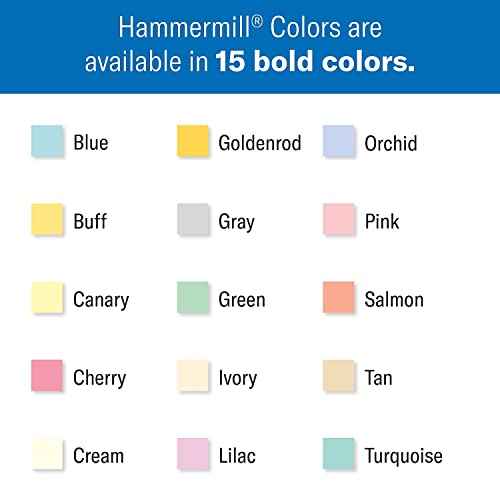 Hammermill Colored Paper, 20 lb Goldenrod Printer Paper, 8.5 x 11-1 Ream (500 Sheets) - Made in the USA, Pastel Paper, 103168R