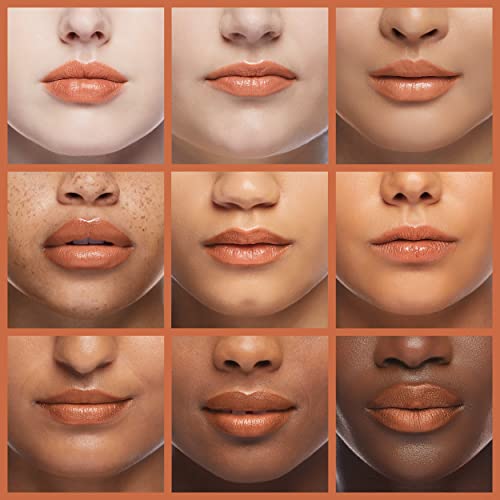 L'Oréal Paris Colour Riche Plump and Shine Lipstick