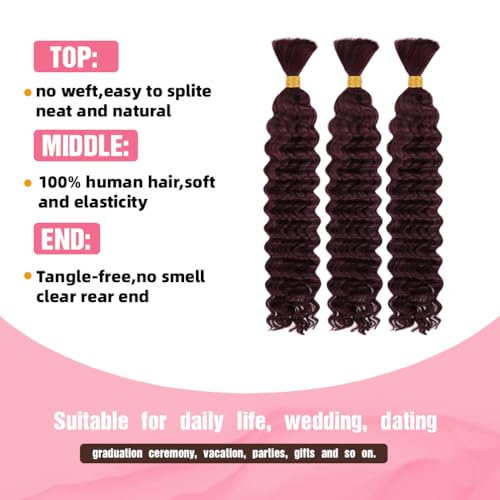 Human Braiding Hair, 3 Bundle 150g 16 Inch Boho Braids Human Hair 10A Deep Wave Bulk Brazilian Virgin No Weft Wavy Hair Extension for Boho Knotless Bohemian Micro Braid Bulk for Braiding 99J