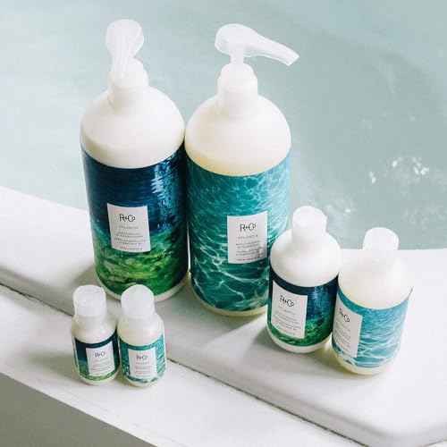 R+Co Atlantis Moisturizing B5 Shampoo | Shine + Tames Frizz + Intense Hydration | Vegan + Cruelty-Free |Vegan + Cruelty-Free