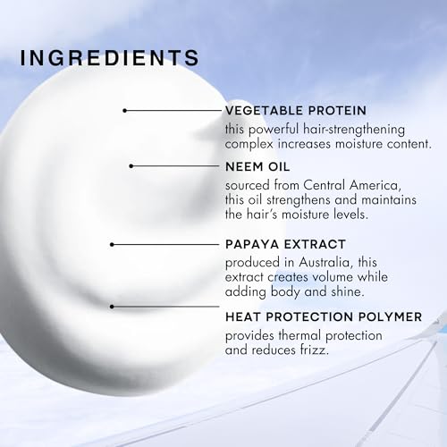 R+Co Aircraft Pomade Mousse 5.6oz - Lightweight Volume