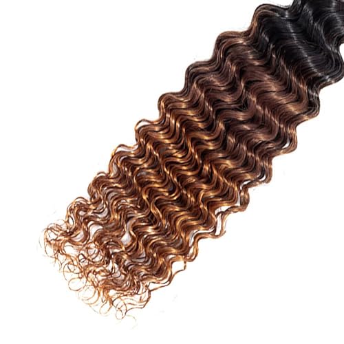 T1B430 Ombre Brown Bundles Human Hair 16 18 20 Inch Deep Wave Human Hair Bundles Ombre Bundle T1B/4/30 Brown Bundle Unprocessed Brazilian Virgin Hair for Black Women