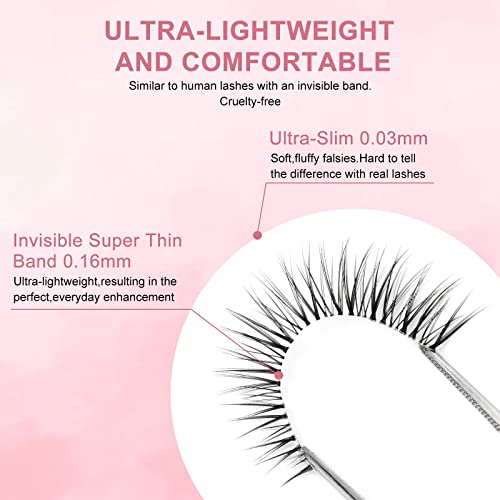 Butterfly Wing Cateye Lashes - Graduated 5-11mm Elegant