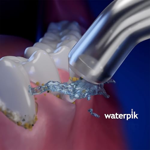 Waterpik Pik Pocket Replacement Tips PP-100E, 2 Count – Genuine Water Flosser Tips