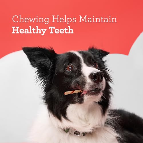 DreamBone Twist Sticks Dog Chews, Rawhide-Free, 50 Count
