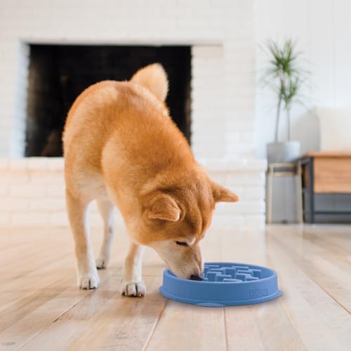 Outward Hound Fun Feeder Slo Bowl, Slow Feeder Dog Bowl, Medium/Mini, Blue