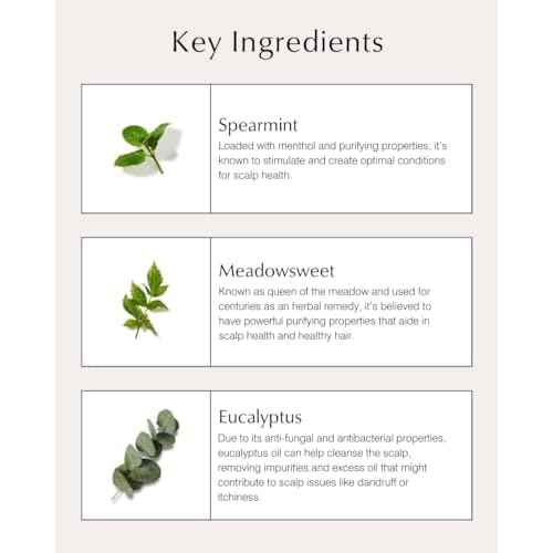 John Masters Organics Scalp Stimulating Shampoo 16 oz | Organic Spearmint & Meadowsweet | 70% Organic Ingredients | Clarifying Shampoo | Improve Scalp Health | Sulfate-free, 16 Fl Oz