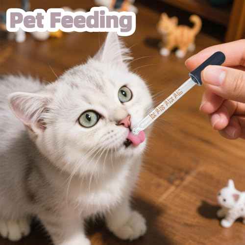 6 Pack Glass Pipette Dropper with Brush - Bent & Straight Tips, 1 ml Eye Droppers for Essential Oils, Lab, Crafts, Measuring and Transferring Liquids