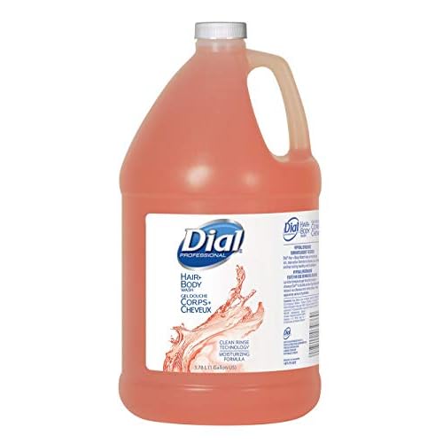 Dial Professional Hair + Body Wash (Pack of 4) and Ginger Lily Farms Botanicals Moisturizing Shampoo for All Hair Types, Coco Mango