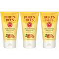 Burt's Bees Deep Cleansing Pore Scrub Peach Willow Bark 4oz
