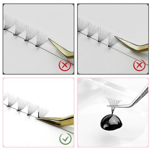 ABONNIE Premade Lash Fans 10D 0.05mm D Curl 12mm