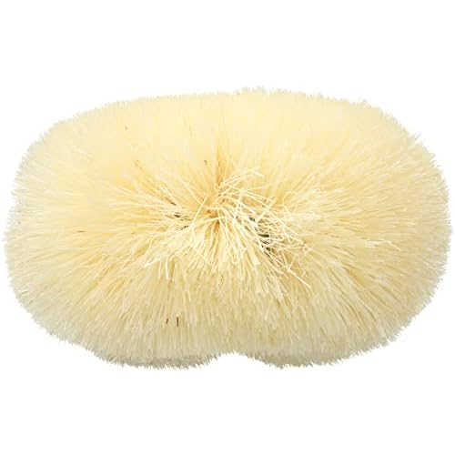 Baudelaire Sisal Bath Brush for Shower - 9 in - Traditional Japanese-Style Loofah Brush for Excellent Body Exfoliation - Essential Back Scrubber That Freely Removes Dead Cells.