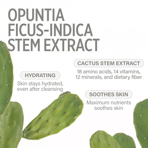 KEYTH Oasis Water Mist (150ML, 5.07 FL.OZ.) / Moisturization, Skin Hydration, Soothing, Skin Barrier Strengthening, Cactus Stem Extract, 14 Vitamins