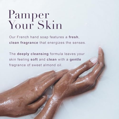 A LA MAISON French Liquid Hand Soap RefilL - Natural Hand Wash Made with Essential Oils - Biodegradable, Plant-Based, Vegan, Cruelty-Free (33.8 Fl Oz Pouch, 2 Pack, Provence Lemon)