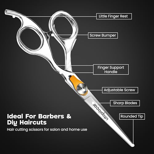 Professional Hair Cutting Scissors - 6.5 Inch Salon Barber Shears - Silver