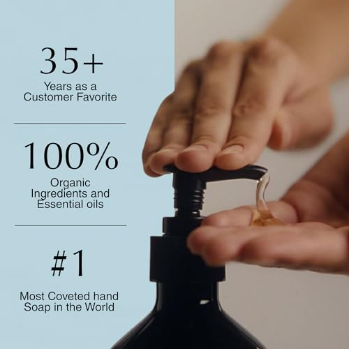 Aesop Reverence Aromatique Exfoliating Hand Wash 500mL