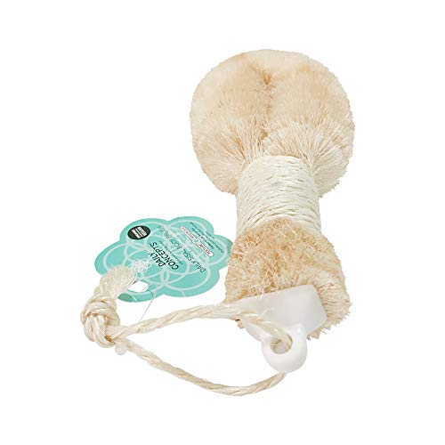 DAILY CONCEPTS Sisal Body Brush
