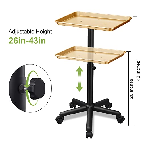 Golden Salon Adjustable Height Aluminum Rolling Tray for Hair & Tattoo Professionals (Golden)
