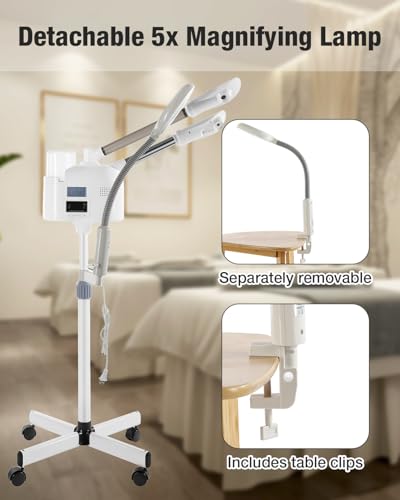 Professional Facial Steamer with 5x LED Magnifying Lamp & Cold Hot Nozzle