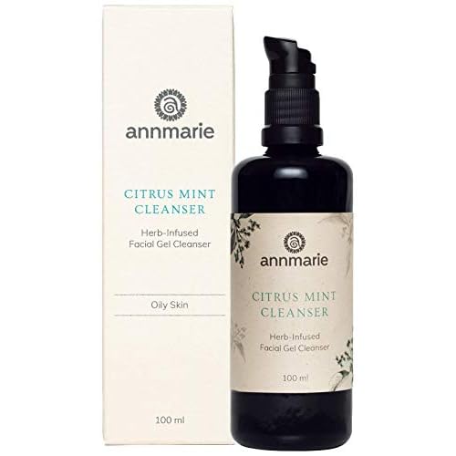 annmarie Skin Care Citrus Mint Cleanser ? Daily Deep Pore Gel Cleanser for Oily & Combination Skin ? pH-Balanced Aloe Face Wash with Witch Hazel, Neem & Rosemary (100ml)