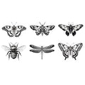 6 Sheet Dragonfly & Moth Temporary Tattoos