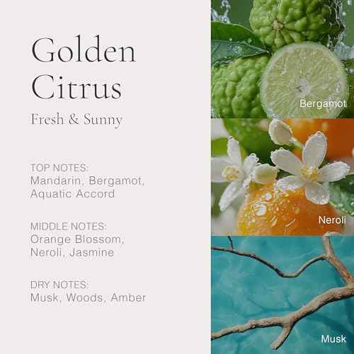 CLEAN H2EAU Fragrance Discovery Gift Set, Travel Mini Size, Water-Based Layerable Daily Perfume, Cruelty-Free, Ethyl Alcohol, Phthalate & Paraben Free