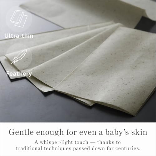 Green Tea Oil Blotting Paper 100 Sheets – Japanese Washi