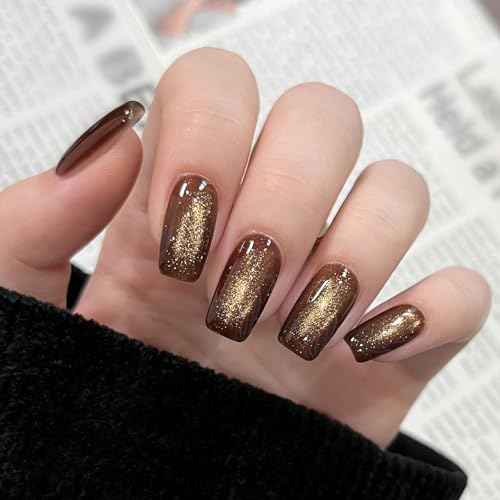 GAOY Jelly Brown Cat Eye Gel Nail Polish, 16ml Glitter Holographic Nail Polish with Magnet, Reflective Translucent UV Gel, 3010 Cocoa Depth