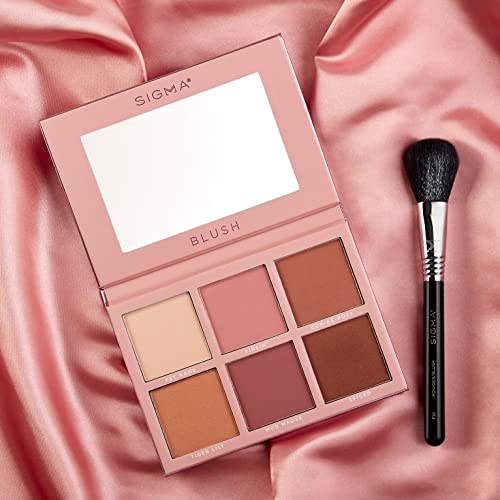 Sigma Beauty F10 Powder/Blush Brush ? Soft Tapered Face Brush for Setting Powder & Blush ? Professional Makeup Brush ? Black Handle ? 1 Count