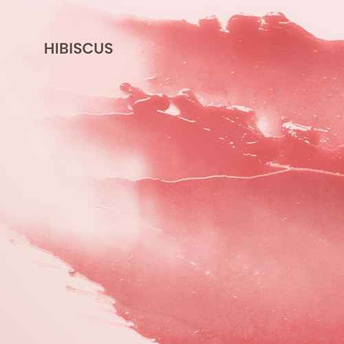 Burt's Bees Lip Tint Balm, Long Lasting 2 in 1 Duo Tinted Balm Formula, Color Infused with Hydrating Shea Butter for a Natural Looking Buildable Finish, Hibiscus, 1 Tube