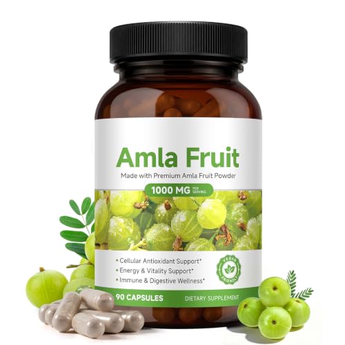 JYVGNLXS 1 Bottle - 90 Vegan High-Potency Amla Capsules for Cellular Support & Wellness