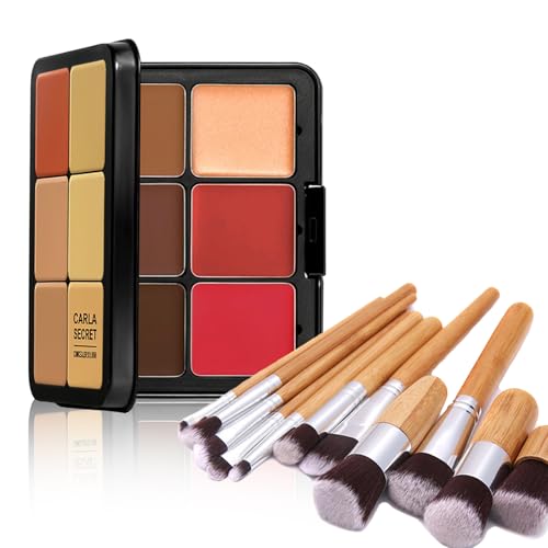 FantasyDay 12 Color Full Coverage Concealer Palette & 11 Brush Set