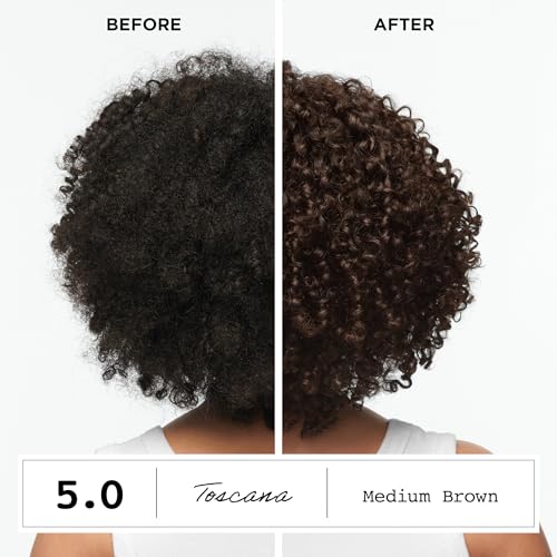 Clairol ColorStrong Permanent Hair Dye Black Ammonia-Free 1.0 - Gray Coverage