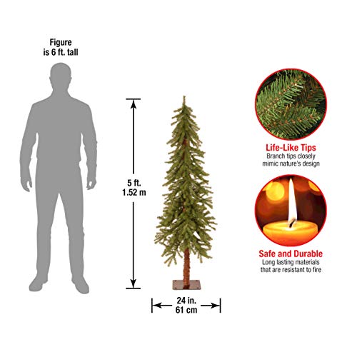 National Tree Company Artificial Christmas Tree | Hickory Cedar - 5 ft