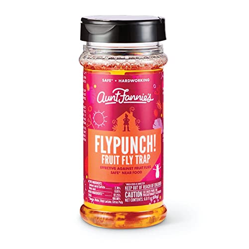 Aunt Fannie's FlyPunch Fruit Fly Trap (Single): for Indoor and Kitchen Use, Made with Plant Based Ingredients, Packaging May Vary